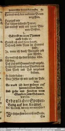 XXVIII. Erbaulicher Spatzier-Gang auf den Kirchhof.