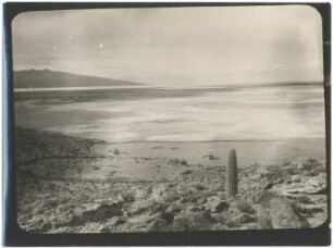 Salar de Coipasa und Cerro Pucarani von Laqueca aus gesehen