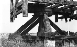 Hecklingen-Groß Börnecke. Bockmühle, Skelett