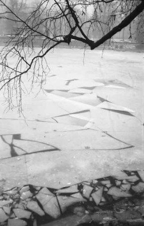 Stadtgartensee im Winter.