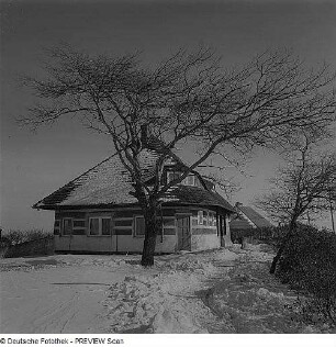 Wintertag auf Hiddensee