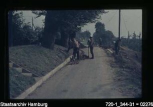 Deicharbeiten Finkenwerder