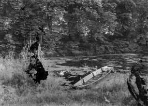 Seerosenteich mit Boot
