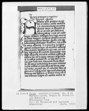 Martyrologium, Regula Sancti Benedicti und Nekrolog — Initiale A (usculta), Folio 43recto