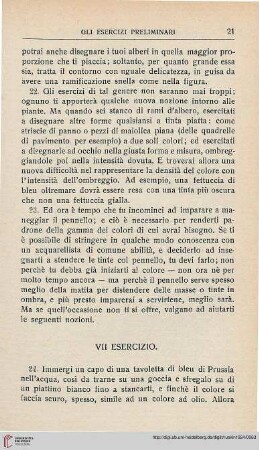 VII. Esercizio