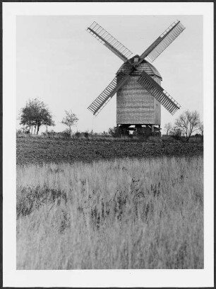 Die Windmühle von Storkow, aufgenommen aus leichter Untersicht, im Vordergrund blühendes Feld und Wiese, signierter Barytabzug