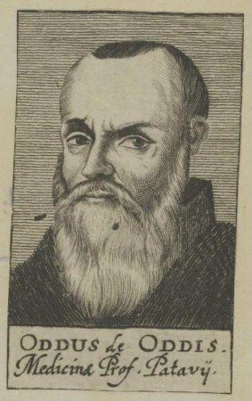 Bildnis des Oddus de Oddis