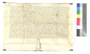 Lehenbrief des Klosters Wiblingen für Hans Mayr über eine Sölde zu Donaustetten