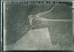 Foto des Geländes um den Bois la Dame (Luftbild)
