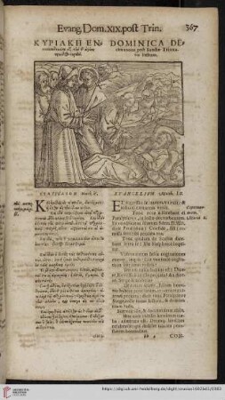 Dominica decimanona post Sanctæ Trinitatis Festum