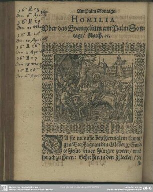 Homilia Uber das Evangelium am Palm Sontage, Matth. 21.