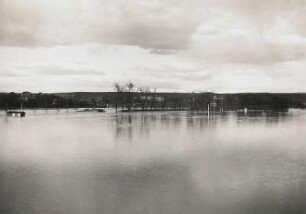 Dresden. Die Elbe bei Hochwasser. Blick vom Käthe-Kollwitz-Ufer