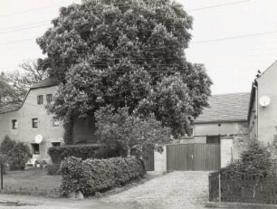 Bauernhof, Naundorf (Kreis Oschatz)
