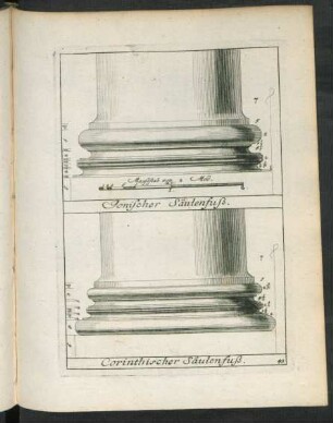 43. Ionischer Säulenfuß. Corinthischer Säulenfuß