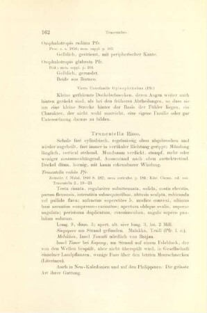 Truncatella Risso