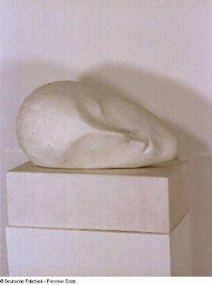 Sleeping Muse