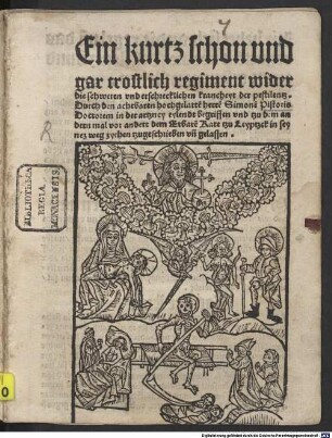 Ein kurtz schon und gar trostlich regiment wider die schweren und erschrecklichen kranckeyt der pestilenz