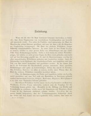 Die Epidermis und ihre Abkömmlinge