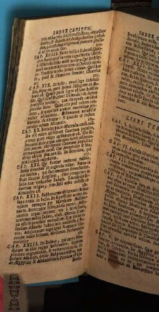 De republica Hebraeorum : libri 3