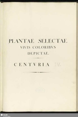 4: Plantae selectae vivis coloribus depictae. Band 4 - Mscr.Dresd.App.3413,Bd.4