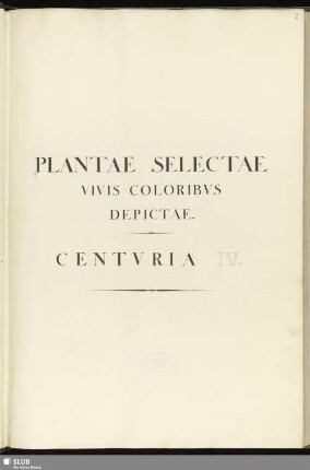4: Plantae selectae vivis coloribus depictae. Band 4 - Mscr.Dresd.App.3413,Bd.4
