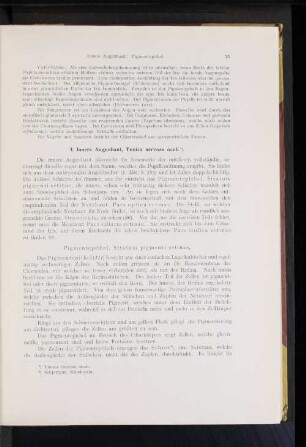 Pigmentepithel, Stratum pigmenti retinae.
