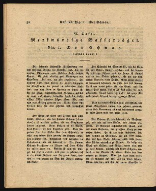 VI. Tafel. Merkwuerdige Wasservoegel.