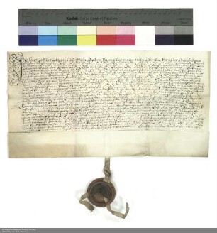 Revers Hans Konrad von Thüngen zu Windheim bezüglich der Belehnung mit einem Burggut in Bad Brückenau und weiteren im Einzelnen aufgeführten Lehen durch Johann Friedrich [von Schwalbach], Abt von Fulda