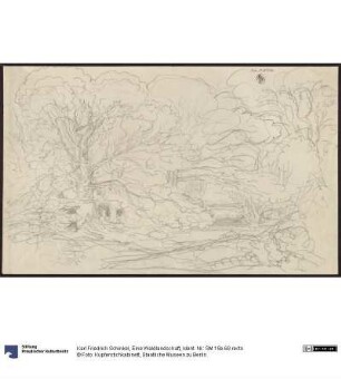 Eine Waldlandschaft