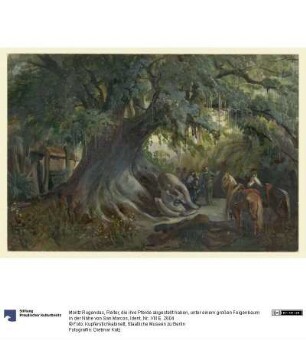 Reiter, die ihre Pferde abgestellt haben, unter einem großen Feigenbaum in der Nähe von San Marcos