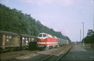 Groß Behnitz Lok 219 191Schublok 219060 Nahverkehrszug B-RN