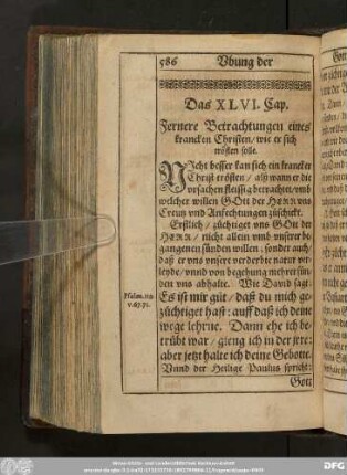 Das XLVI. Cap. Fernere Betrachtungen eines krancken Christen/ wie er sich trösten solle.