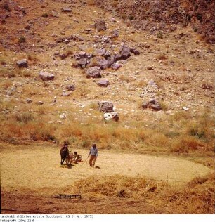 Israel: Samarisches Bergland
