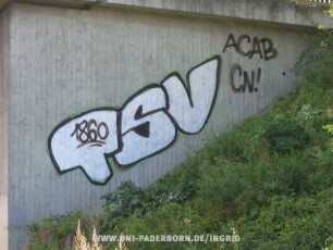 TSV
