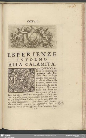 Esperienze Intorno Alla Calamita