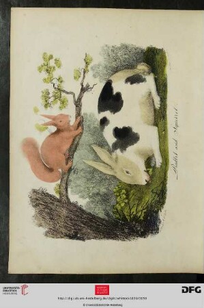 [Taf. 9-10] Rabbit and Squirrel