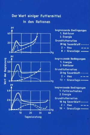 Der Wert einiger Futtermittel in den Rationen