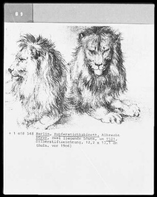 Die niederländische Reise (Das Skizzenbuch mit Silberstiftzeichnungen) — Zwei Löwen