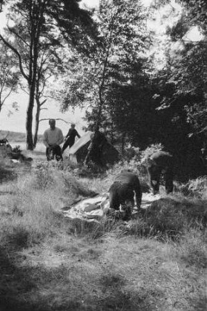 Waren (Müritz). Camper auf dem Campingplatz Ecktannen