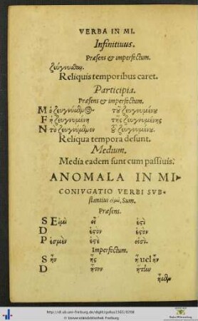 Anomala.