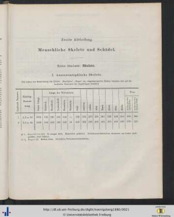 Zweite Abtheilung. Menschliche Skelette und Schädel.