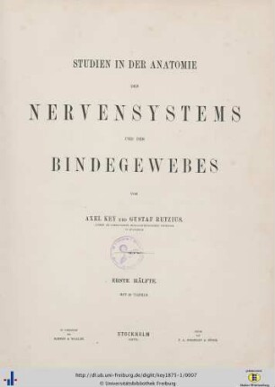 Erste Hälfte: Studien in der Anatomie des Nervensystems und des Bindegewebes