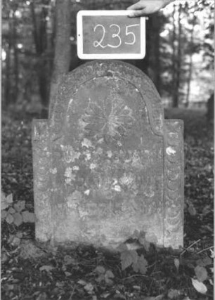 Grabstein 235 (Index: 99894702) Material: Sandstein Zustand: bewachsen und verwittert Maße HxBxT: 78x57x6 cm Beschreibung: Stele mit eingezogenem Rundbogenabschluss Symbolik: Blüte, Schuppenmuster, Ringmuster: Grabstein 235