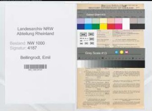 Entnazifizierung Emil Bellingrodt, geb. 11.05.1888 (Buchsachverstaendiger)