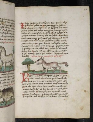 Tier "Graptier"; (Teil III A: Von den Tieren, die auf der Erde gehen)