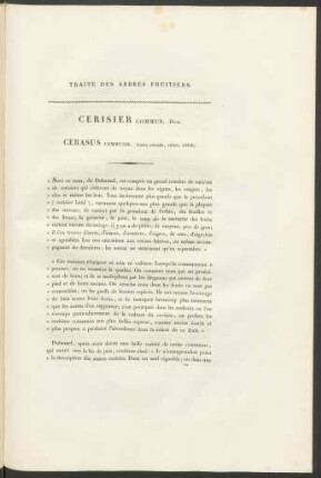 Cerisier Commun. Duh. Cerasus Communis ...