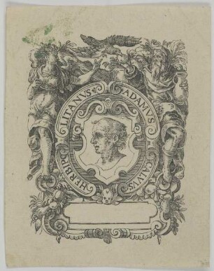 Bildnis des Adamvs Calvvs