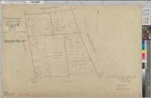 Epe, Gronau (Gronau), Alstätte (Ahaus), Wessum (Heek), Zusammenlegung des Amtsvenns, Bl.17 Urkarte II Wessum Flur 19, Epe Flur 31