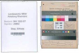 Entnazifizierung Elfriede Stiep , geb. 21.06.1892 (Musiklehrerin)