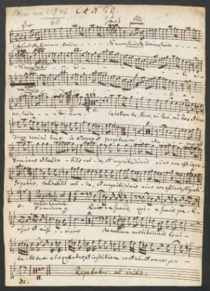 Laudate Dominum laudate eum quia exaltatum est nomen. Arr; V (4), strings, bc; TWV 8:11